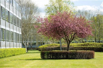 Billede 3. Lejlighed, Holmparken, Herning 