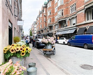 Photo 14. Apartment, Vimmelskaftet, København K 