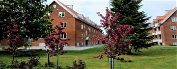 Photo 7. Apartment, Jægervænget, Vejle 