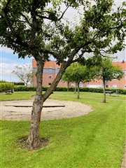 Billede 8. Lejlighed, Kastanien, Vejle Øst 