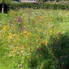 Photo 7. Apartment, Skoleparken, Esbjerg Ø 