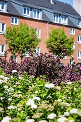 Photo 5. Apartment, Holbergsvej, Holstebro 