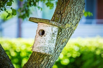 Photo 10. Apartment, Hunsballevej, Holstebro 
