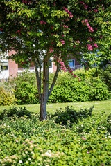 Photo 1. Apartment, Hunsballevej, Holstebro 