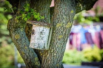 Photo 5. Apartment, Hunsballevej, Holstebro 