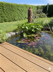 Photo 4. House, Vestersig, Viuf 