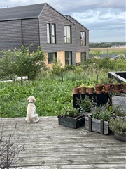 Billede 23. Lejlighed, Toppen, Roskilde 