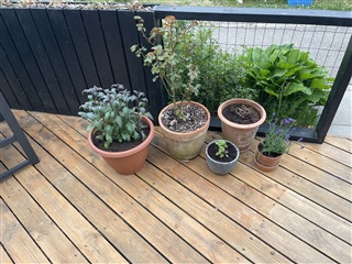 Billede 19. Lejlighed, Toppen, Roskilde 