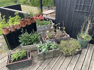 Billede 22. Lejlighed, Toppen, Roskilde 