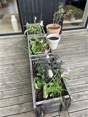 Billede 21. Lejlighed, Toppen, Roskilde 