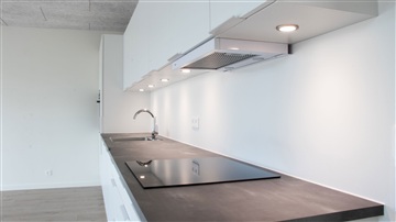 Billede 11. Hus/villa, Engen, Billund 