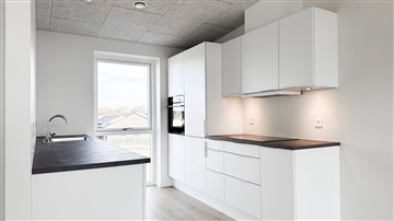 Photo 16. House, Engen, Billund 