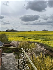 Photo 10. House, Kværndrup Vænge, Kværndrup 