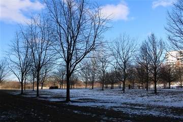 Photo 12. Apartment, Edvard Thomsens Vej, København S 