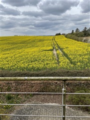 Photo 11. House, Kværndrup Vænge, Kværndrup 