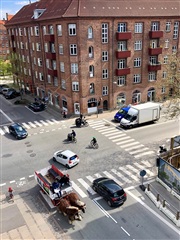 Photo 21. Apartment, Vesterfælledvej, København V 