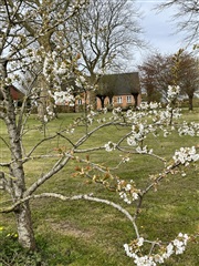 Photo 25. House, Kværndrup Vænge, Kværndrup 