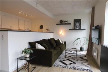 Photo 2. Apartment, Toften, Tarm 