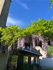 Billede 10. Hus/villa, Hjortholms Allé, København NV 