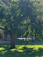 Photo 3. Apartment, Amaliegade, København K 