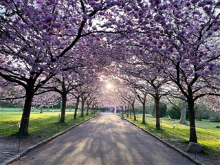 Billede 7. Hus/villa, Hjortholms Allé, København NV 