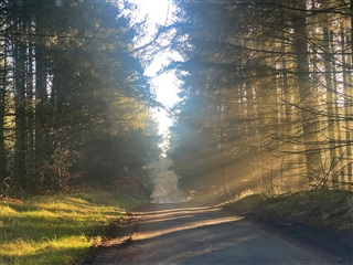 Billede 3. Lejlighed, Bøgstedvej, Hjørring 