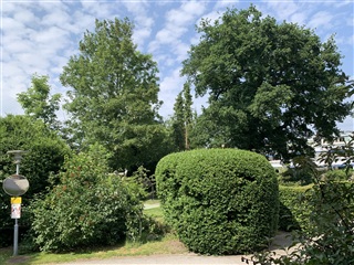 Photo 14. Apartment, Skovgårdsvej, Charlottenlund 