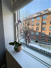 Photo 3. Apartment, Halsskovgade, København Ø 