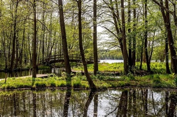 Photo 5. House, Dybedalsvej, Farum 