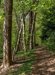 Photo 6. House, Dybedalsvej, Farum 