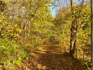 Photo 12. Apartment, Usserød Kongevej, Hørsholm 