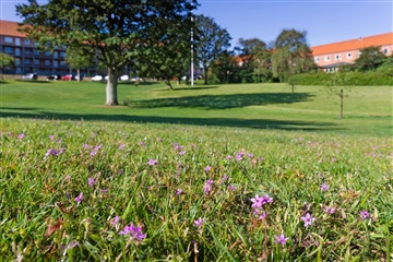 Billede 10. Lejlighed, Søndergade, Struer 