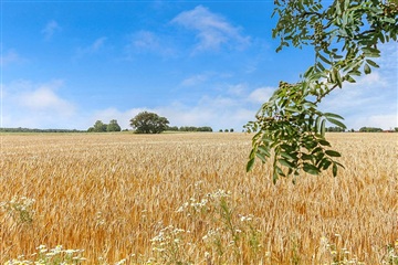 Photo 21. Apartment, Tingparken, Ørsted 