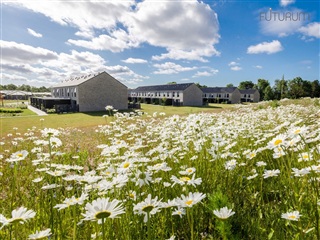 Photo 12. House, Johannes Rosendahl Parken, Odense N 