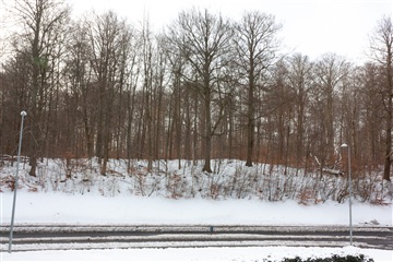 Photo 33. House, Pennehave, Rungsted Kyst 