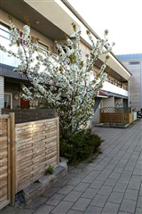 Billede 5. Lejlighed, Svendborgvej, Næstved 