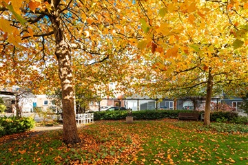 Photo 10. Apartment, Toftegade, Holstebro 