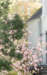 Photo 3. House, Hauchsvej, Frederiksberg C 