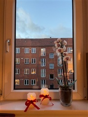 Photo 20. Apartment, Ordrupvej, Charlottenlund 