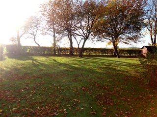 Photo 10. Apartment, Bjørupvej, Nykøbing F 