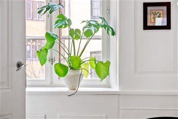 Photo 18. Apartment, Studiestræde, København K 