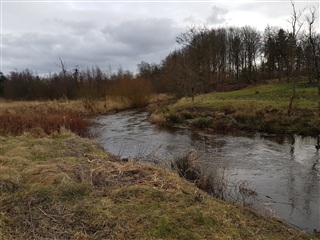 Photo 11. House, Rind Plantagevej, Herning 