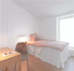 Photo 5. House, Elmehusene, Hasselager 