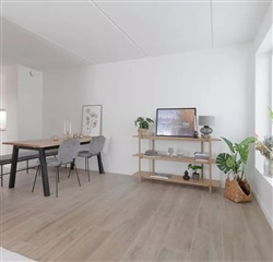 Photo 8. House, Elmehusene, Hasselager 