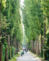 Photo 2. Apartment, Husumgade, København N 