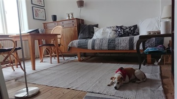 Photo 1. Room, Durosvej, Kongens Lyngby 