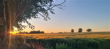 Photo 7. House, Naurbjergvej, Havdrup 