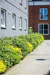 Photo 5. Apartment, Hunsballevej, Holstebro 