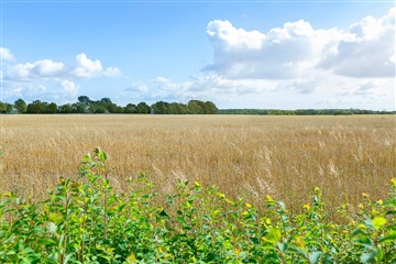 Photo 7. House, Auningvej, Allingåbro 