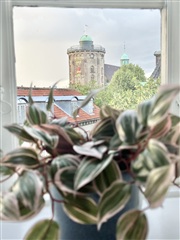 Billede 28. Lejlighed, Skindergade, København K 